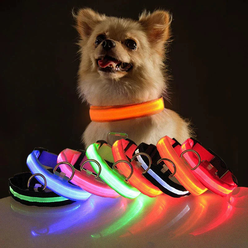 LED Adjustable Waterproof Dog Collar 